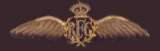 RFC pilot's wings